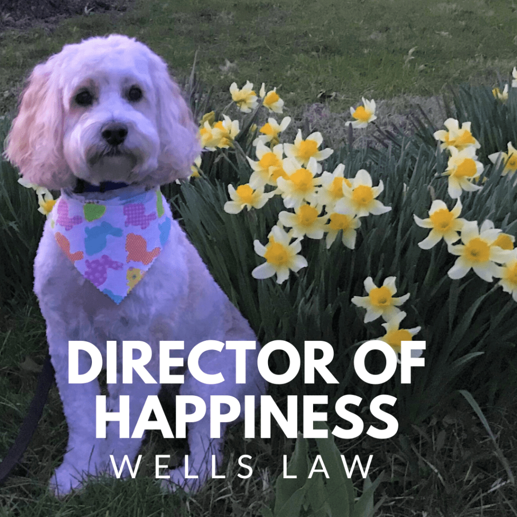 Cammy, Wells Law's Director of Happiness